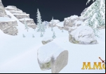 snow-crashed-and-died