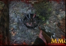 Survarium-fire-pit