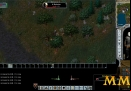 Ultima-Online-a-skeleton