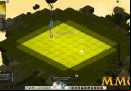 Wakfu-placement-phase