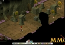 Wakfu-puzzles