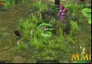 War-of-the-Immortals-Grass.jpg