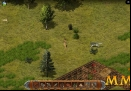 wild-terra-bow-and-arrow