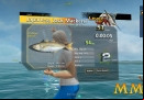 World-of-Fishing-japanese-jack-mackerel