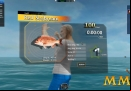 World-of-Fishing-red-seabream