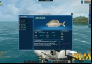World-of-Fishing-sea-chub