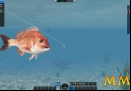World-of-Fishing-underwater-cam