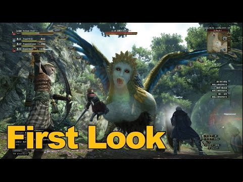 Dragons Dogma Online Gameplay First Look - mmos.horseracingexpert.net