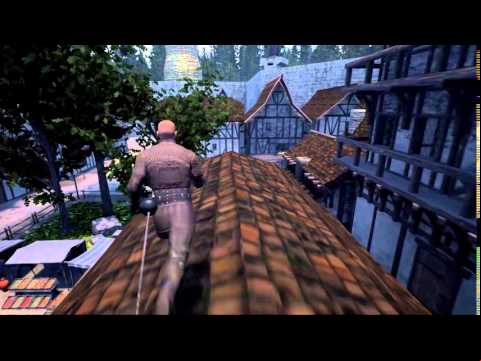 Chronicles of Elyria - Fun little flip on the rooftops